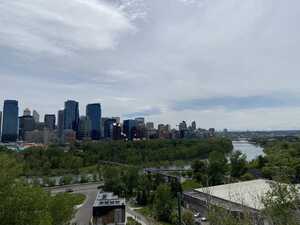 Skyscrapers behind trees and river