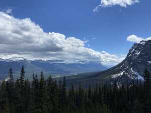 Evergreen forest surrounded by mountains