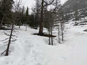 Footprints through deep snow in the woods