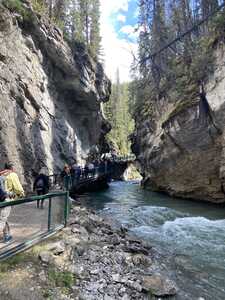 Elevated walkway within narrow canyon