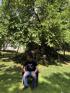 Asian man sitting under tree