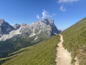 Trail through grassy hillside toward mountain in distance