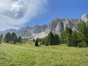 Mountains behind field with trees