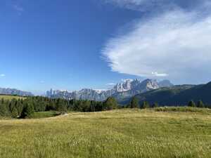 Field with trees behind and mountains in the distance