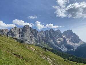 Rocky mountain group rises above grassy hills and forest