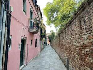 Alley with pink house on left and brick wall on right and trees overhead