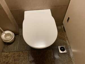 Toilet with black button on the ground next to it