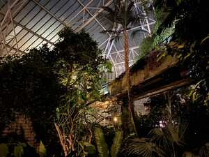 Indoor garden with concrete bridge in greenhouse at night