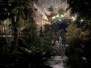 Indoor garden with fountain in greenhouse at night