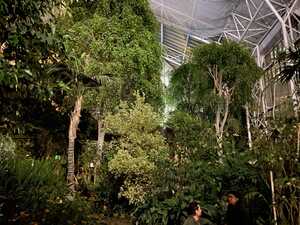 Trees in greenhouse at night