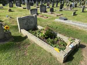 Gravesite with plants growing inside in a graveyard