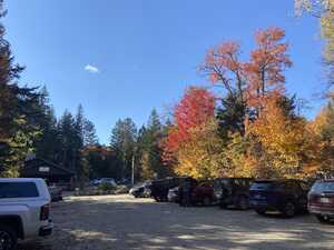 Small parking lot with fall foliage