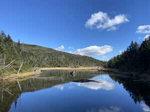 Lake with forest and mountain behind