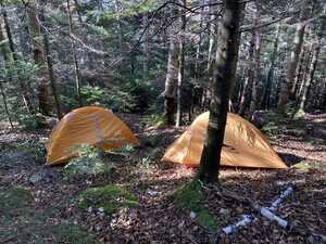 Two yellow tents in the woods