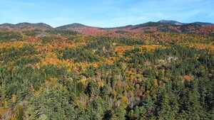 Forest with fall colors in the distance from above