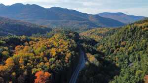 Highway through the forest from above