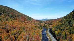 Highway and river through the forest from above